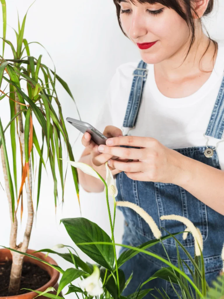 aplicativo-para-identificar-plantas