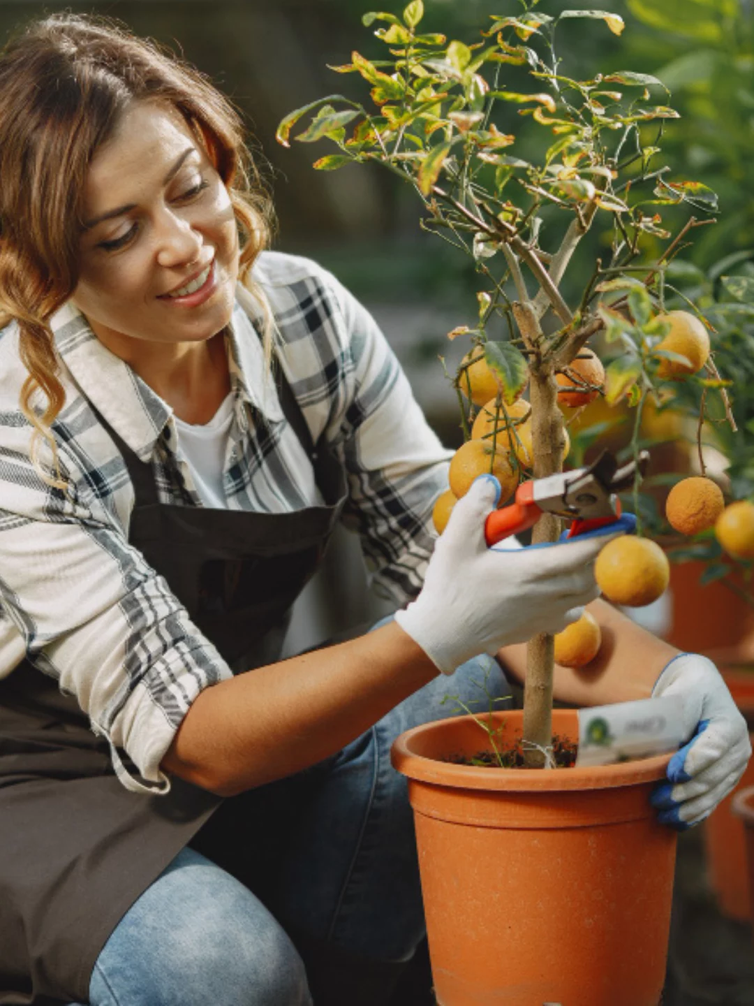 7 Formas de Como Fazer Horta em Casa e Cultivá-las