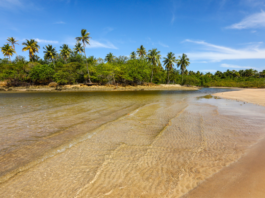 descubra-a-encantadora-costa-do-dende-na-bahia