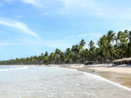 10-melhores-praias-da-costa-do-dende-na-bahia